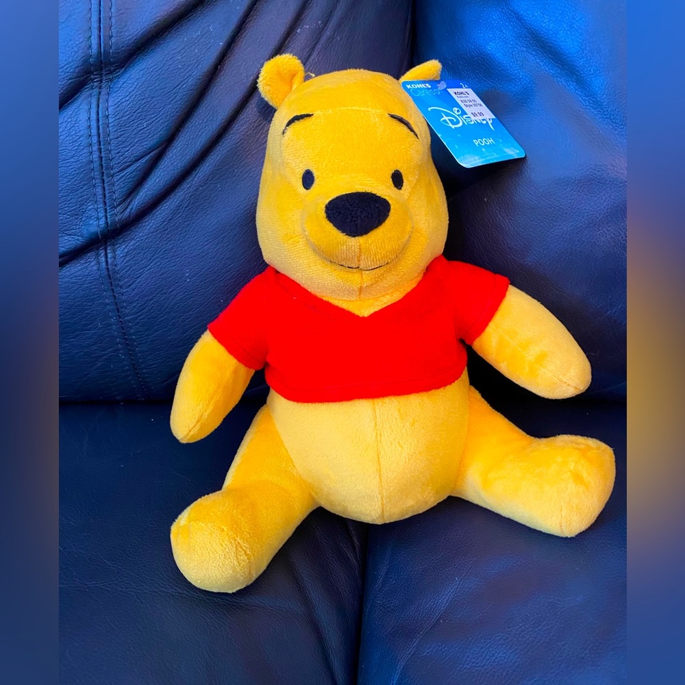 Winnie the Pooh Plush